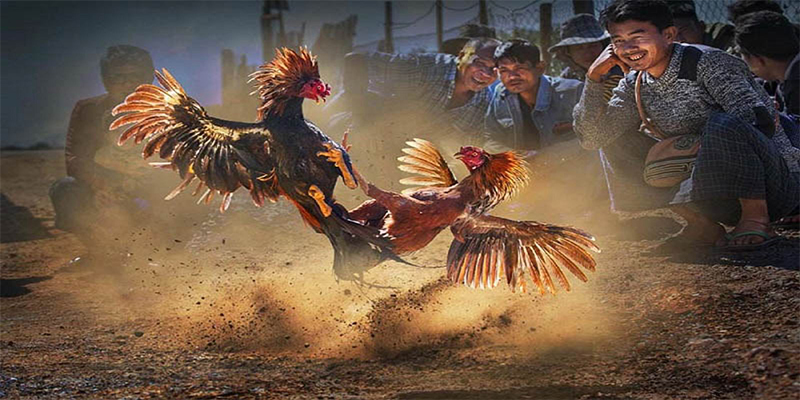 99vina đăng nhập roulette số 1