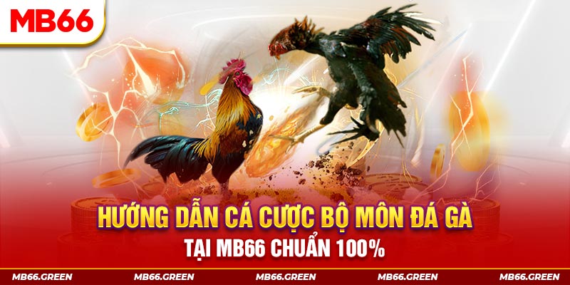 99vina xổ số bình định