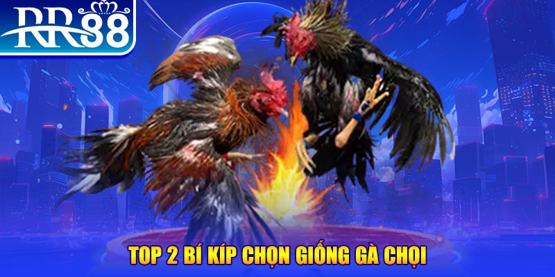 99vina đăng nhập roulette dễ thắng