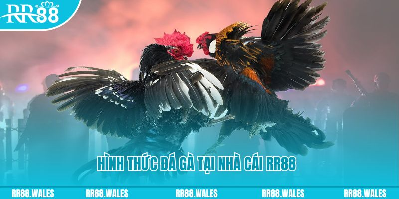 99vina xin 1 slot là gì