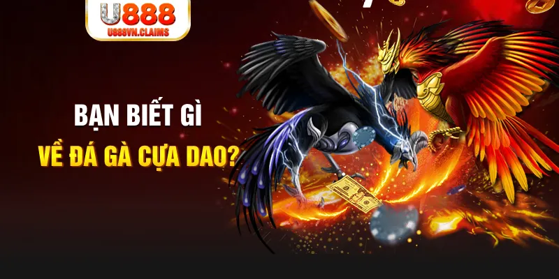 99vina xổ số kiến thiết