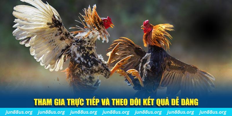 99vina đá gà trực tiếp bình luận viên