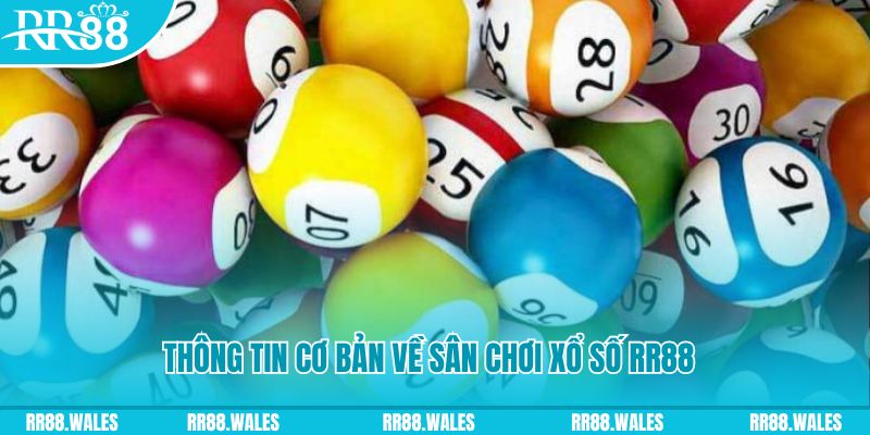 99vina tải game xếp bài trên máy tính