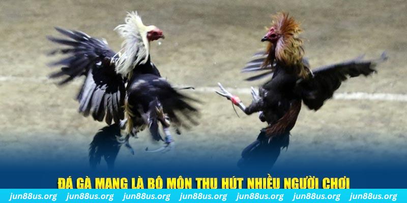 99vina xổ số cà mau