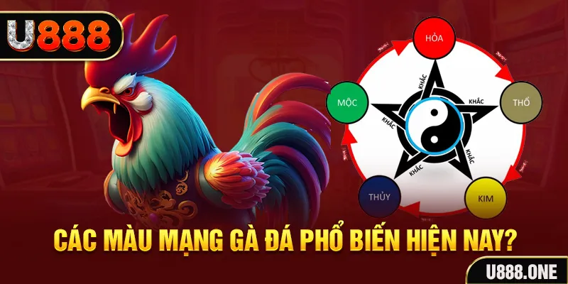 99vina đăng nhập mậu binh