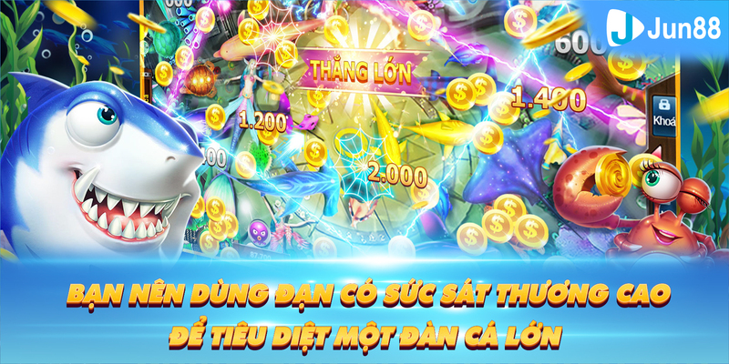 99vina Tung Đồng Xu