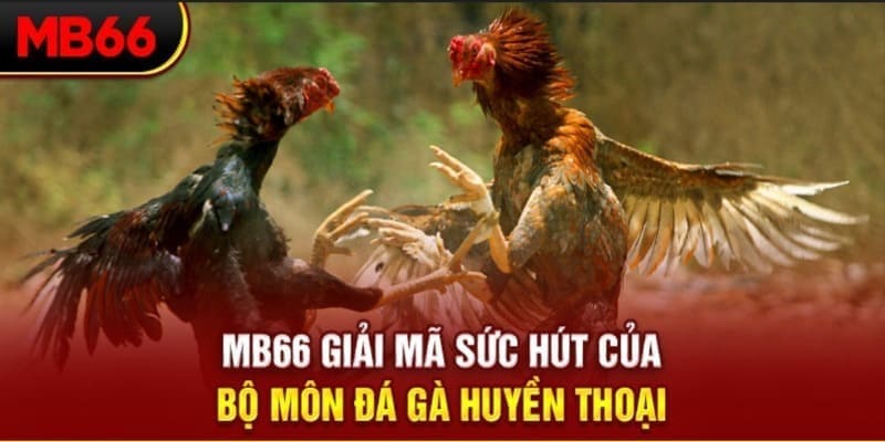 99vina Phi Đội Ưu Tú