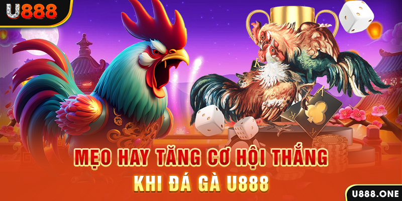 99vina trực tiếp gà chọi c1