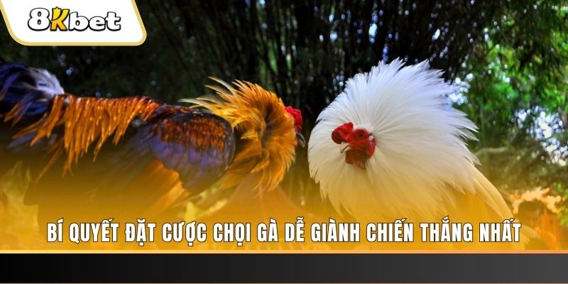 99vina Tài Xỉu 2