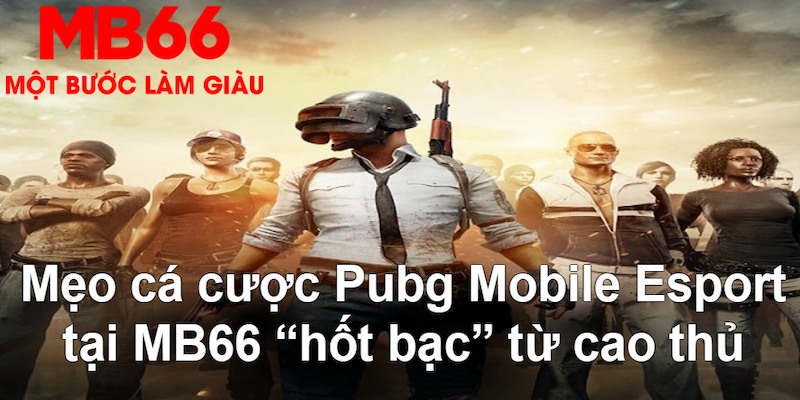 99vina gà chọi mộc hóa