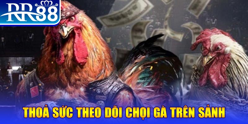 99vina đá gà 88.com