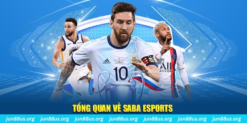 99vina gà chọi c1 tv trực tiếp hôm nay